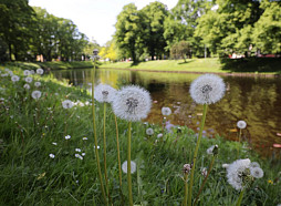 Brīvdienās saule mīsies ar mākoņiem, nākamā nedēļa sāksies ar lietu