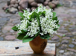 Nedēļas nogalē gaidāms pārsvarā saulains un vējains laiks