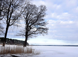Jaunās nedēļas otrajā pusē debesis skaidrosies