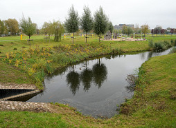 Pērn lielākā daļa Rīgas apkaimju nav tikusi pie jauniem kokiem