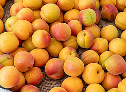 PVD robežkontrolē Afganistānas izcelsmes aprikožu kodolos konstatējis cianīdu