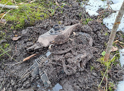 VUGD ir jau gatavs šūnu apraides paziņojuma teksts iedzīvotājiem par gaisa apdraudējumu