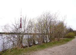 Lielajā talkā labiekārtoti skvēri un dabas takas, atrastas vecas mēbeles un riepas