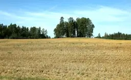 Враги сожгли поле с посевами? Государство компенсирует ущерб, но не полностью