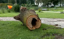 Сегодняшняя буря названа самой разрушительной с 2005 года — синоптики