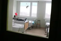 Квоты даже не предлагают: родители в шоке от «бесплатной медицины» для детей