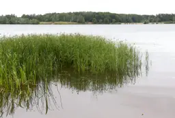 В воде Земли исчезает кое-что жизненно важное — последствия могут остаться на века