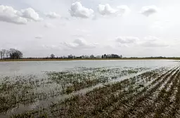 Arī Ventspils novads lūgs valstij 50 000 eiro lietavu bojāto pašvaldības ceļu remontam