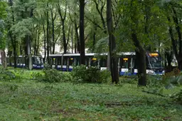 В понедельник у рижан будут принимать ветки и листья; где их сдать?