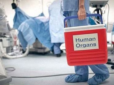 Возможна ли в Латвии торговля органами? Специалисты утверждают, что нет, и объясняют, почему