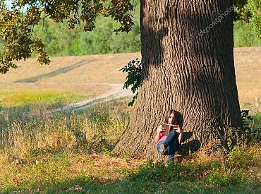 Glābjot dižozolu, prokuratūra pieprasa atjaunot lietu saistībā ar Mārupes lēmumu izsniegt būvatļauju