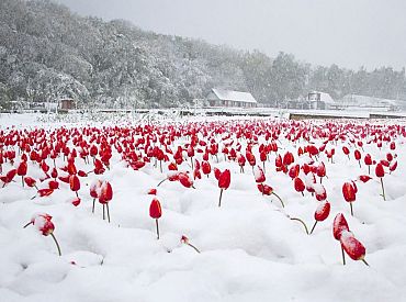 Šāds 8.marts: stiprākais vējš gaidāms pēcpusdienā un vakarā