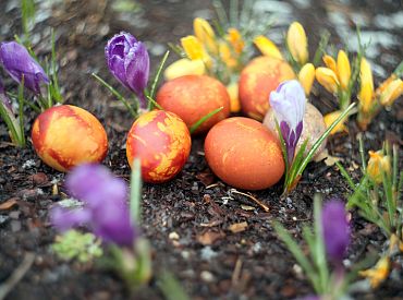 Premjers aicina Lieldienās ar tuviniekiem tikties «attālināti»