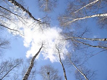 Pirmdien gaisa temperatūra Latvijā pakāpsies līdz 13 grādiem