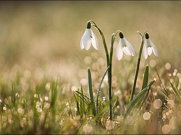 Gaisa temperatūra Latvijā otrdien sasniegs 11 grādus