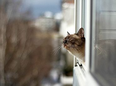 Trešo dienu pēc kārtas pārspēts Latvijas siltuma rekords