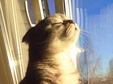 Да неужели? В пятницу столбик термометра может приподняться выше 0