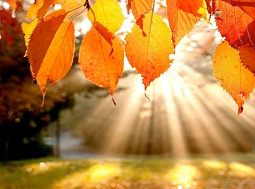 Meteoroloģiskā vasara Latvijā turpināsies vēl vismaz nedēļu