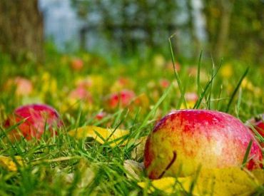 Svētdien debesis Latvijā skaidrosies un kļūs siltāks