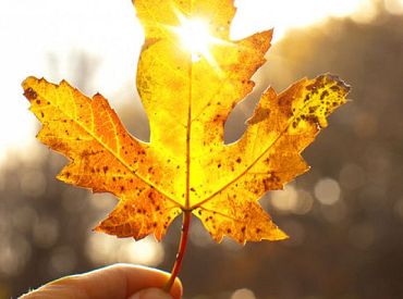 Septembra otrajā pusē gaidāms mazs nokrišņu daudzums