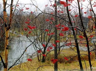Svētdiena gaidāma saulaina; naktī uz pirmdienu var apledot autoceļi