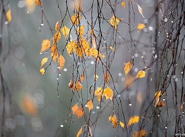 Какой будет наступающая зима? Народные приметы уже дают прогноз