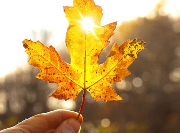 Septembra izskaņā bieži spīdēs saule un gaiss no jauna kļūs siltāks