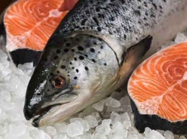Чем опасна лососина балтийская и норвежская: шведы предупреждают покупателей
