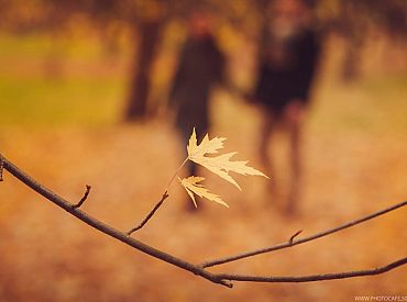 Nākamā nedēļa, iespējams, būs pēdējā rudenīgi siltā nedēļa šogad