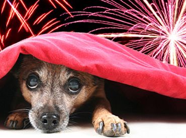 Vāc parakstus par pilnīgu civilās pirotehnikas aizliegumu Latvijā