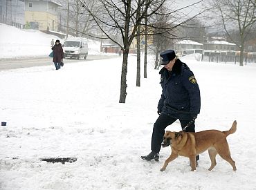 Dienesta suni pēc dienesta beigām plāno vispirms piedāvāt iegādāties kinologam