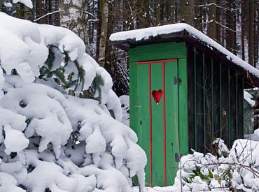 Канадские ученые заставили бактерии производить электричество из человеческой мочи
