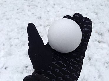 Снежки против полиции: безобидная забава обернулась громким скандалом