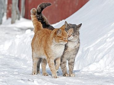 Pirmdien saglabāsies sauss laiks, iespējami atsevišķi siltuma rekordi
