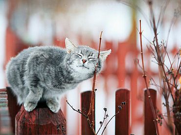 Sestdien vietām valsts dienvidos gaiss uzsils līdz +11 grādiem