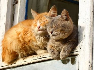 Trešdien Latvijas lielākajā daļā saglabāsies sauss un saulains laiks