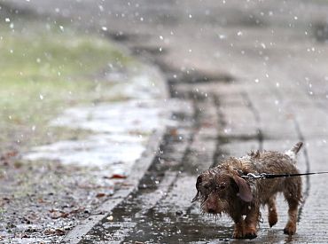 Ночью местами в Латвии образуется снежный покров; завтра тоже ожидаются осадки