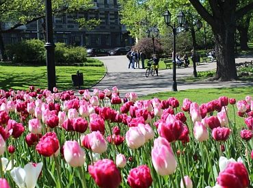 Ceturtdien Latvijā pūtīs brāzmains vējš un gaiss iesils līdz 18 grādiem