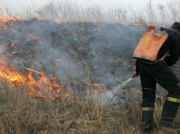 Latvijā šogad reģistrēti kopumā 193 meža ugunsgrēki