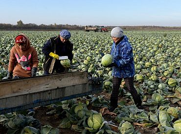Nākamgad netiks finansēta daļēja kredītprocentu dzēšana lauksaimniecības zemes iegādei