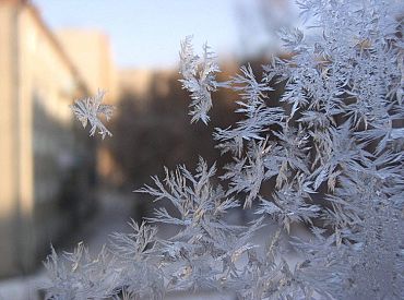 Вот так глобальное потепление: в Латвии станут возможны морозы до -40 градусов