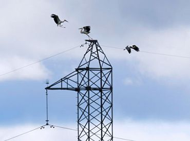 Aizvadītajā nedēļā elektroenerģijas cena Latvijā pieauga par 81%