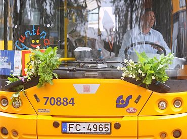 Jāņos Rīgas sabiedrisko transportu varēs izmantot bez maksas