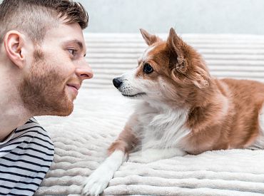 Mājdzīvnieku pagaidu saimniekam būs jāinformē par dzīvnieka izmitināšanas vietas maiņu