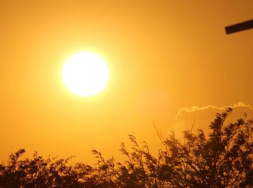 Самый жаркий год в истории: две главные причины аномального 2023 года