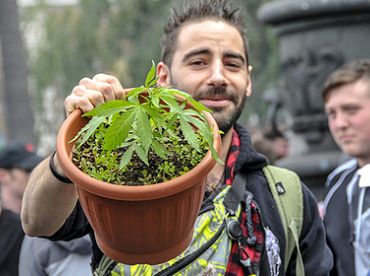 Aptauja: Marihuānas legalizāciju Latvijā atbalsta katrs desmitais iedzīvotājs