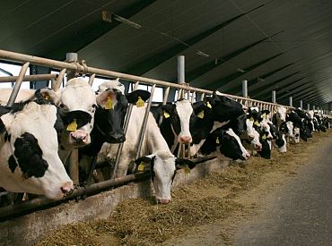 «Siguldas CMAS» apgrozījums deviņos mēnešos pieaudzis par 6,3%