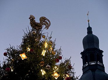 На площадях и в районах, возле школ и детских садов: в Риге установят 40 рождественских елок