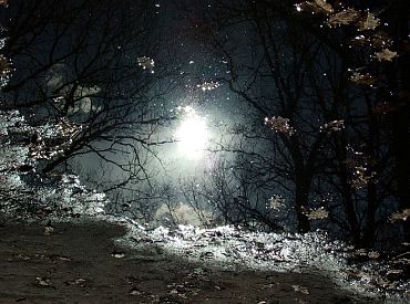 Что это за зима такая? Середина декабря в Латвии оказалась значительно теплее нормы