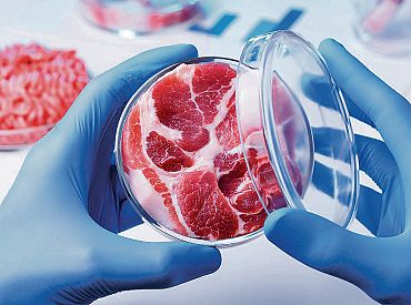 Pārtikas un veterinārajam dienestam turpmāk būs jauna tīmekļvietne